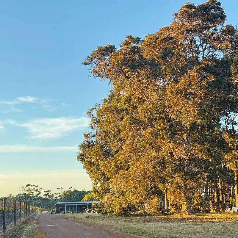 We are OPEN Good Friday, Easter Saturday and Easter Monday 🐰 The farm shop is packed full of local, organic fresh produce, the cafe will be ready and waiting and the cellar door open around the back. Plenty of room for kids, prams, wheelchairs, dogs, caravans and trailers. Look forward to seeing you soon!