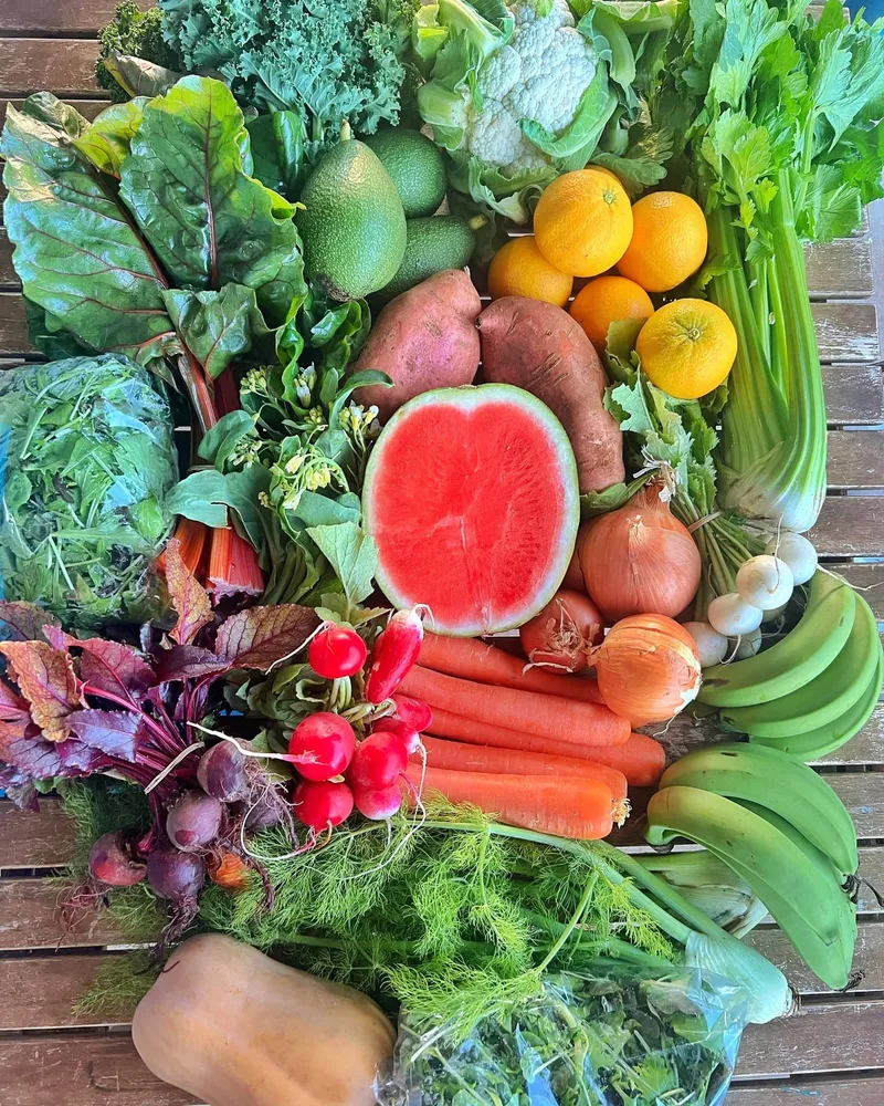 The contents of our set price veg boxes always include extra value and are only decided on the morning we pack them, to ensure only the freshest produce is included and the contents are mixed up each week. We wait to see what comes out of the patch on the farm and what arrives from other local growers on packing day.

Pictured here is a $110 (extra large) mixed organic fruit and veg box that was sent on its way to a lovely regular customer the other week. We're also happy to  accommodate special requests where we can.

The set boxes are all organic, local as much as possible and only available by ordering ahead through the online farm shop at www.gatheredorganics.com.au