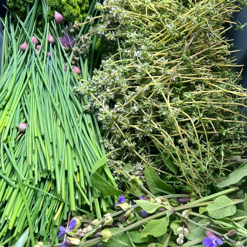 Sometimes when Sally knows we have some big cooking days coming up in the kitchen, she will appear at the back door with magnificence like this. Organic, fresh herbs that look and smell amazing. This is what is used in our soups, sandwich fillings, muffins, pickles and take home meals. When the produce is this good, it doesn't take much to turn it into something delicious. Thanks Sally!