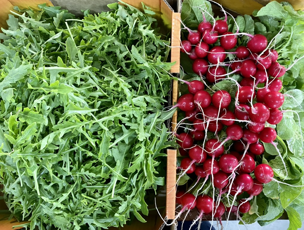 Two produce crates filled with fresh greens, with leafy arugula on the left. On the right is a pile of bright red radishes with white roots on top of more leafy greens.