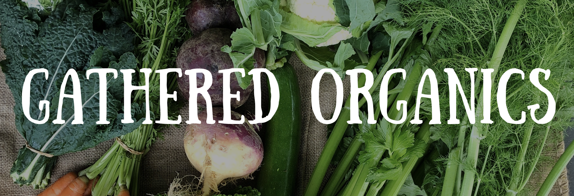 Assorted vegetables and herbs on burlap, including kale, carrots, beets, a turnip, zucchini, cauliflower, celery, and dill. Large white text across the center reads “CATHERED ORGANICS.”