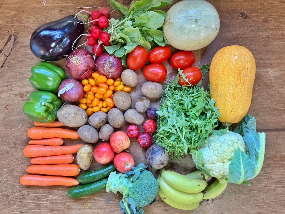Assorted fresh produce arranged on a wooden table, including an eggplant, radishes with greens, onions, green peppers, carrots, potatoes, cherry and Roma tomatoes, and a yellow squash. Also shown are cucumbers, apples, small plums, leafy greens, broccoli, cauliflower, bananas, and a pale green melon.