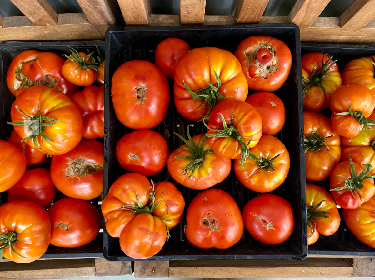 Overhead view of black crates filled with large red-orange heirloom tomatoes, some with green stems attached. The crates sit on a wooden display rack.