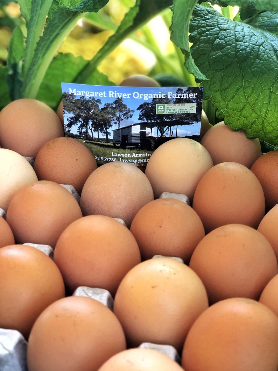 Close-up of a carton filled with brown eggs, with leafy green vegetables behind them. A business card reading “Margaret River Organic Farmer” is tucked among the eggs.