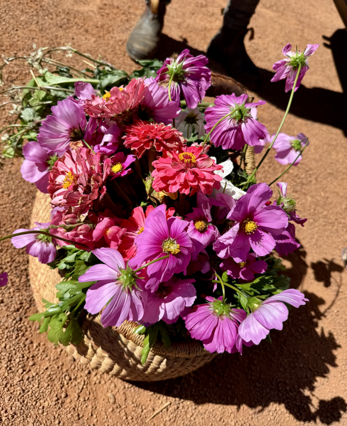 Woven basket filled with fresh pink, purple, and red flowers on reddish dirt ground. The lower legs and boots of a person are visible in the background, casting shadows across the scene.