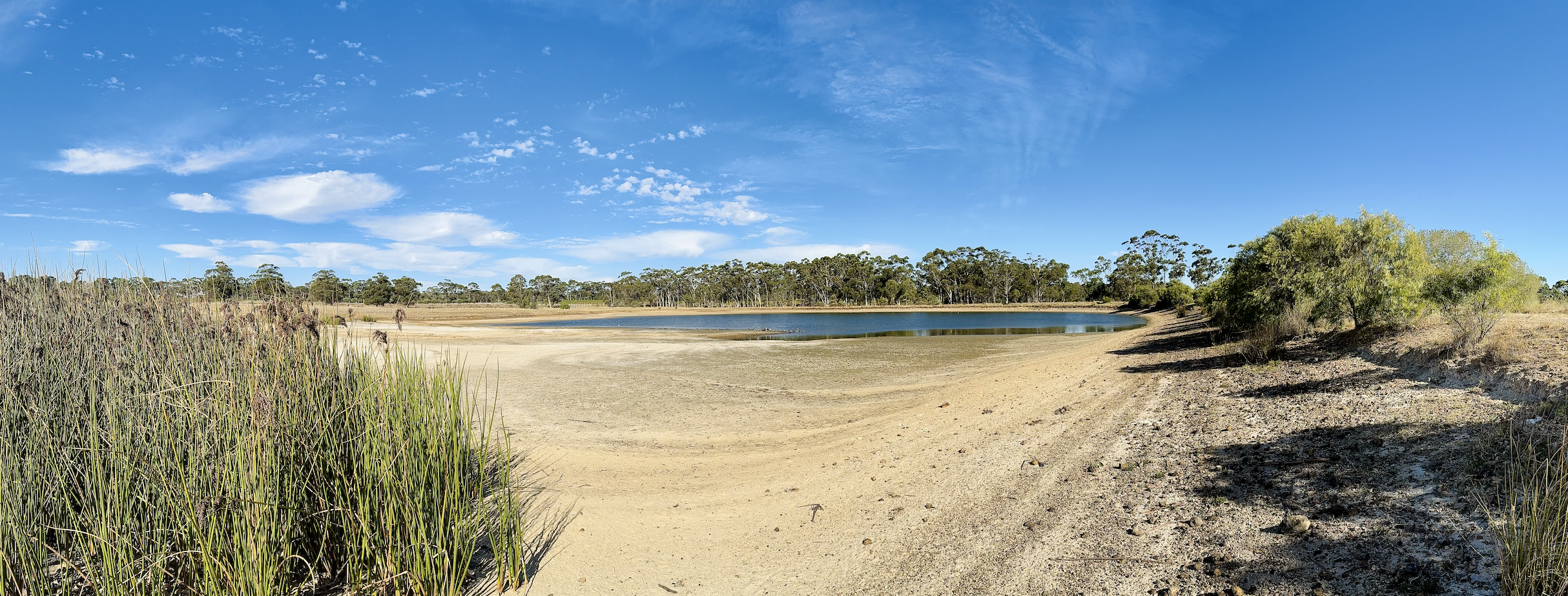 Wide landscape view of a small lake with a sandy, dry shoreline in the foreground. Tall grasses and shrubs frame the edges, with a line of trees in the distance under a bright blue sky with scattered clouds.