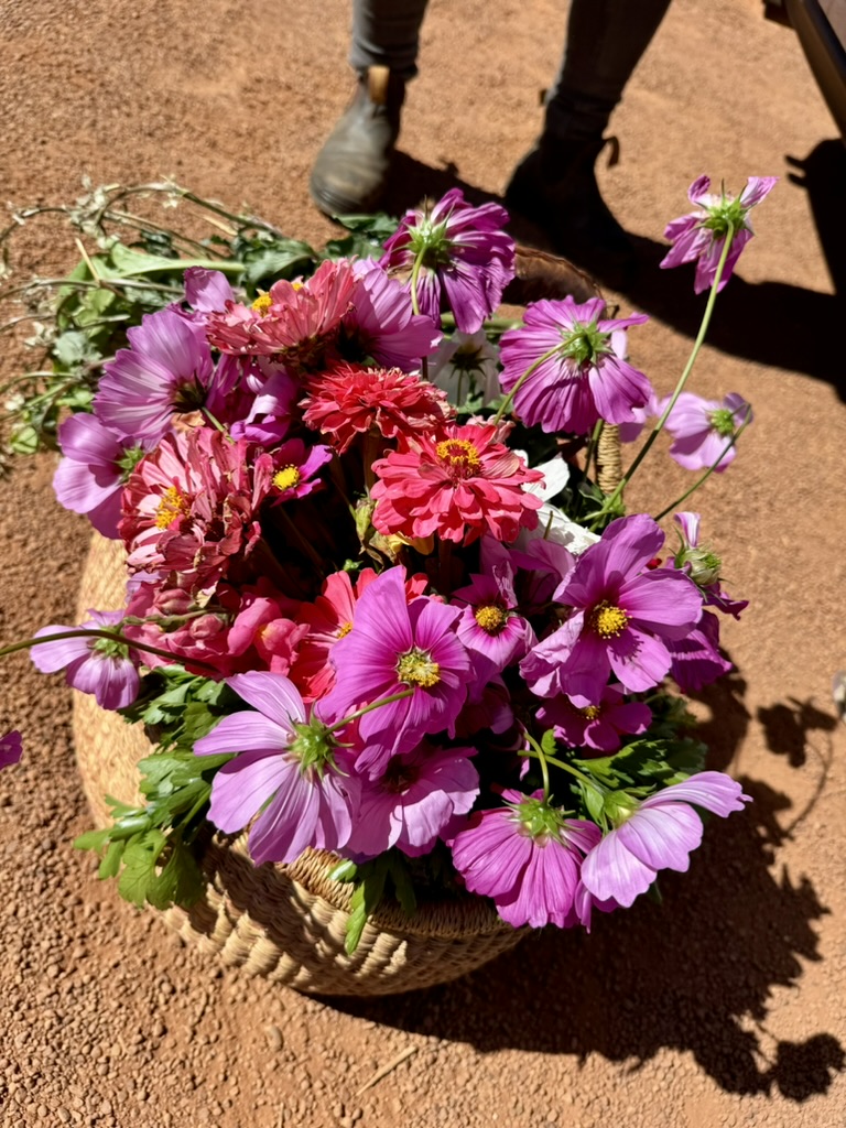 Wicker basket filled with bright pink, purple, and red flowers sitting on a sunlit dirt path. A person’s boots and legs are visible in the background.
