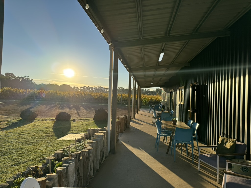 Covered outdoor patio beside a dark corrugated-metal building with blue chairs and tables, lit by low sun casting long shadows. In the background are grassy ground with large rocks and rows of crops under a clear sky.