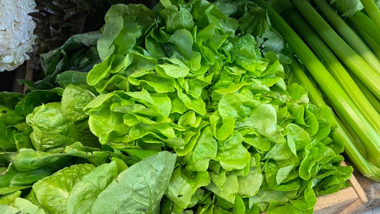 Close-up of fresh green lettuce leaves piled in a wooden crate. Celery stalks are stacked along the right side, with a cauliflower partially visible at the left edge.