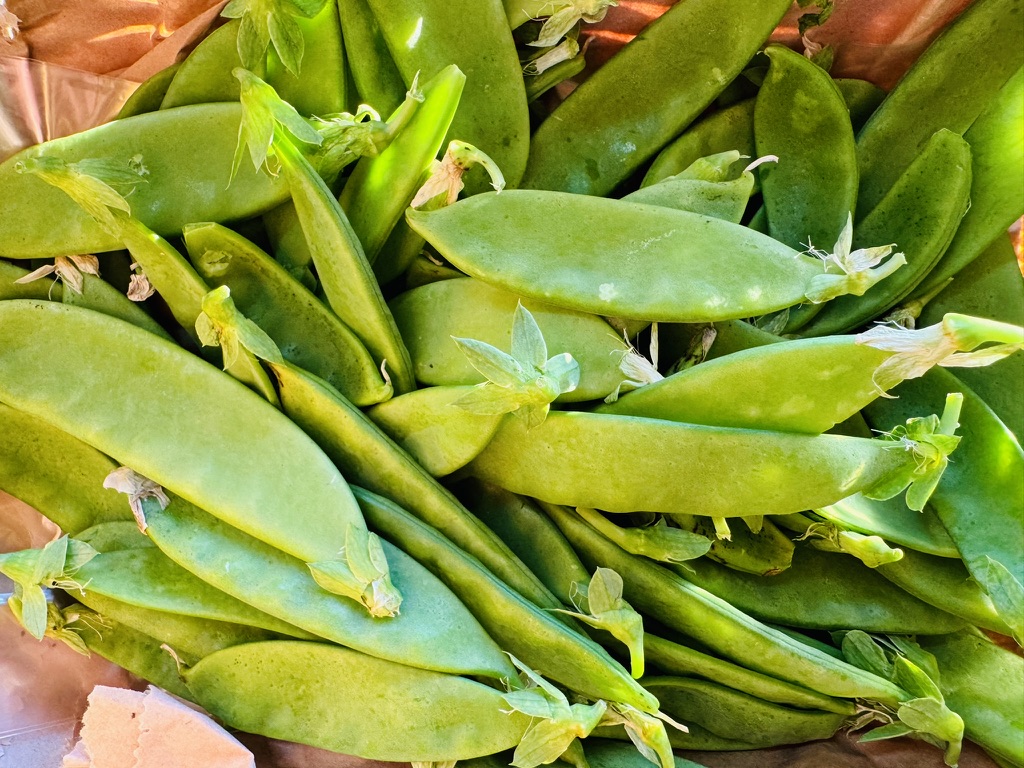 Close-up of a pile of green pea pods with stems and leaves attached. The pods are heaped together on a brown paper surface.