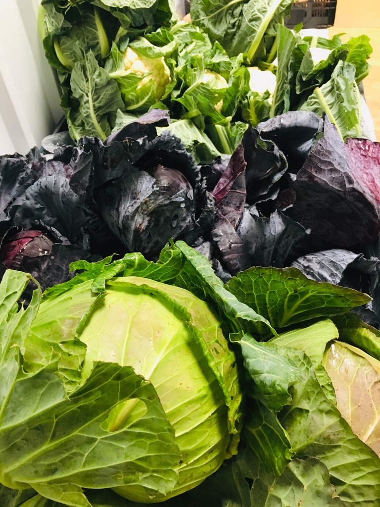 Close-up of piled cabbages, with a large green cabbage in the foreground and dark purple cabbages and leafy greens stacked behind it. Loose outer leaves surround the heads in a produce display.