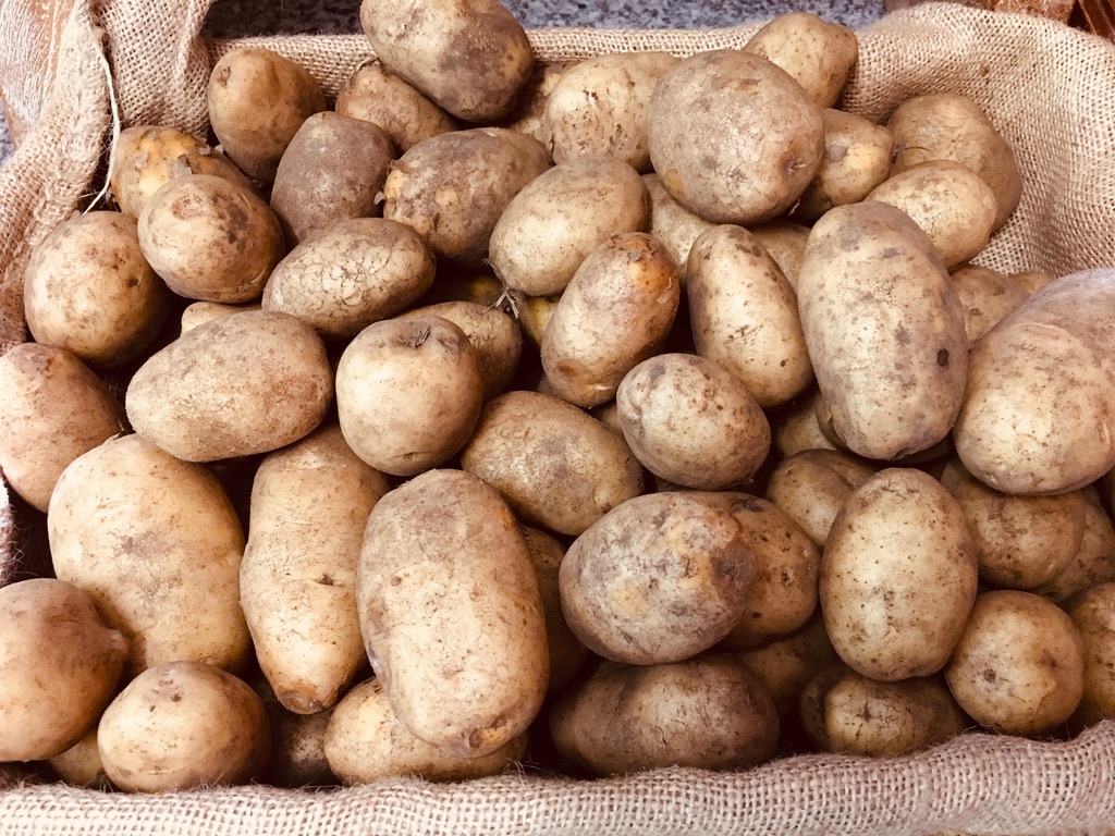 Pile of unwashed potatoes with dusty skins in an open burlap sack. Close-up view fills the frame with potatoes and the sack’s coarse fabric edges.