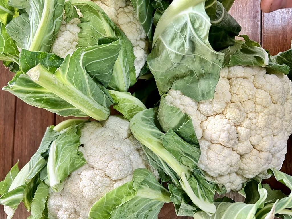 Two fresh cauliflowers with green leaves still attached lie on a wooden surface. A hand is visible at the top right edge of the frame.