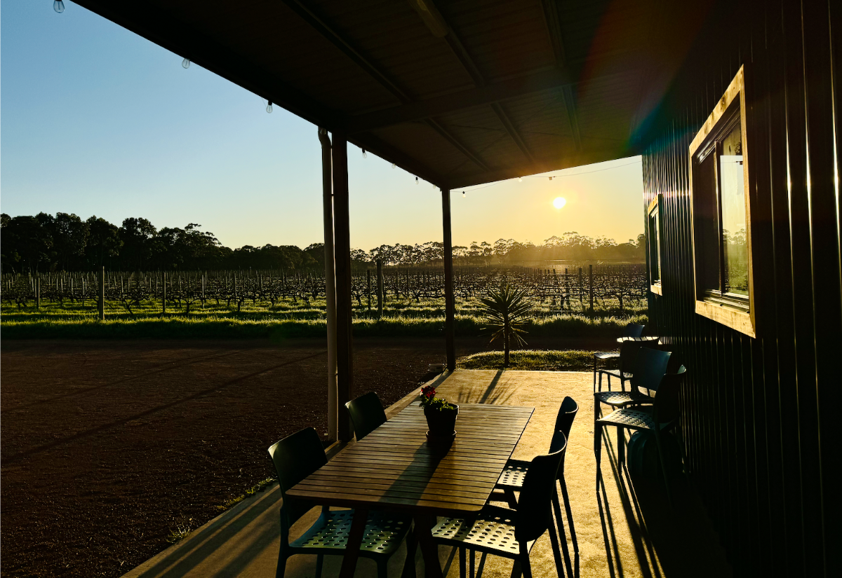 Covered porch with a wooden table and several chairs beside a building, looking out over rows of a vineyard. The low sun casts long shadows across the patio and fields in the background.