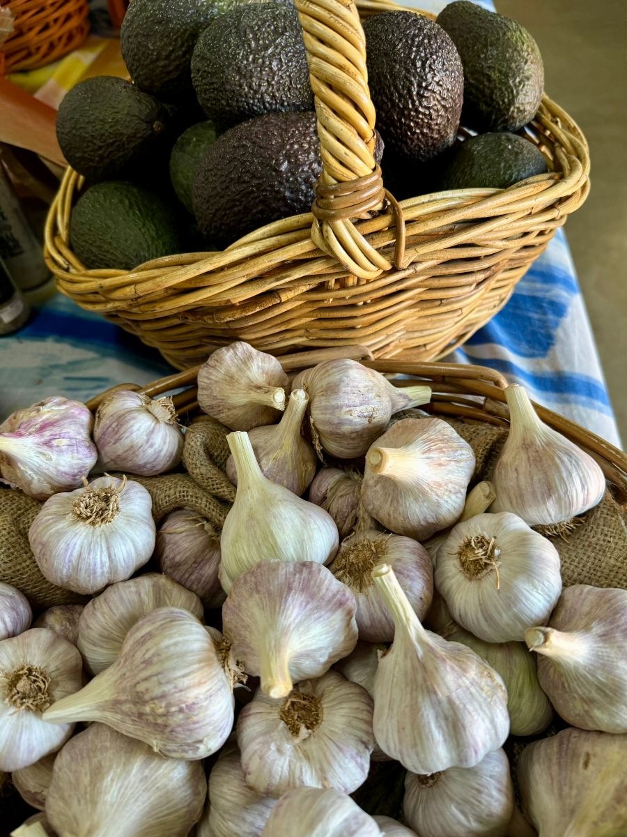 Wicker baskets filled with dark green avocados and a pile of garlic bulbs. The baskets sit on a table with a blue-and-white striped cloth.