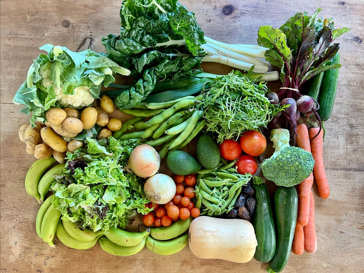 Assorted fresh produce arranged on a wooden table, including bananas, potatoes, cauliflower, leafy greens, leeks, broad beans, tomatoes, onions, avocados, peas, dates, and a butternut squash. Carrots, beetroot with greens, broccoli, courgettes, and a cucumber are grouped along the right side.