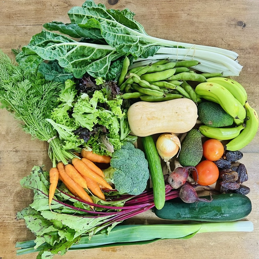 Assorted produce on a wooden table, including leafy greens, carrots, broccoli, beets, cucumbers/zucchini, leeks/chard, snap peas, a butternut squash, avocados, tomatoes, onions, bananas, and dates.