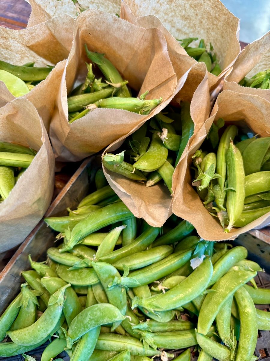 Close-up of fresh green snap peas piled in a wooden crate, with several brown paper bags filled with peas standing upright among them. The peas and bags fill most of the frame.