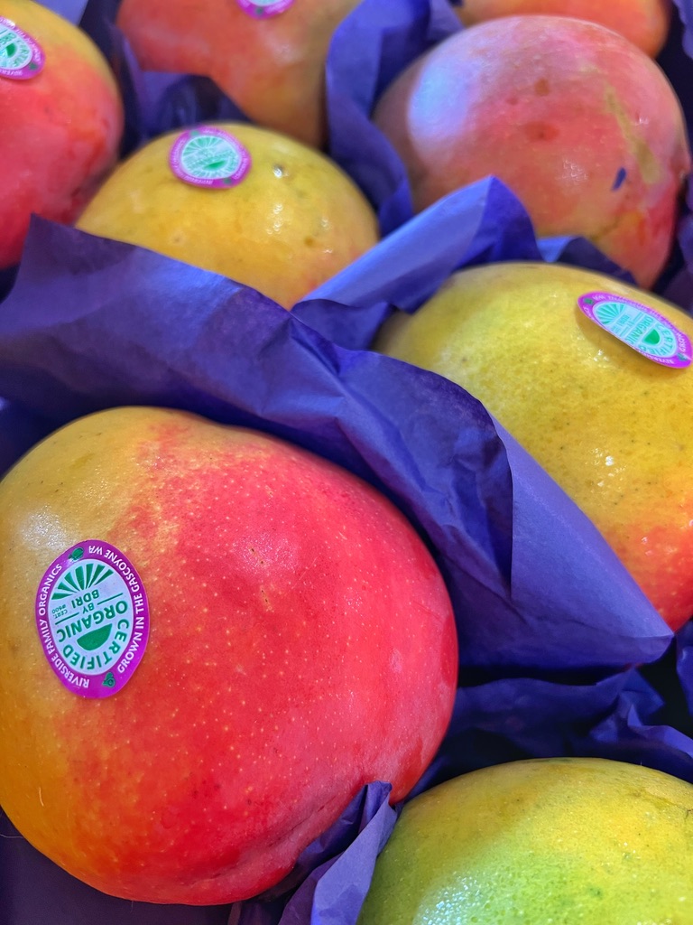 Close-up of several red-and-yellow mangoes nestled in purple tissue paper. Each mango has a small round produce sticker on its skin.