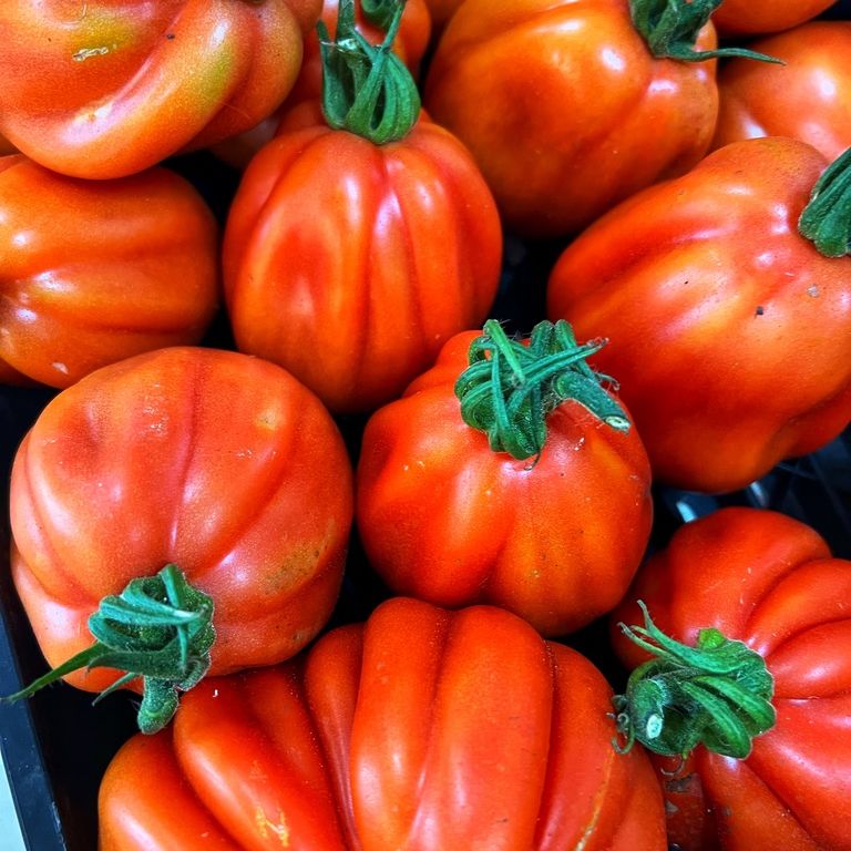 Close-up of several red-orange, ribbed tomatoes piled together, many with green stems attached. The tomatoes fill the frame with glossy skins and deep grooves.
