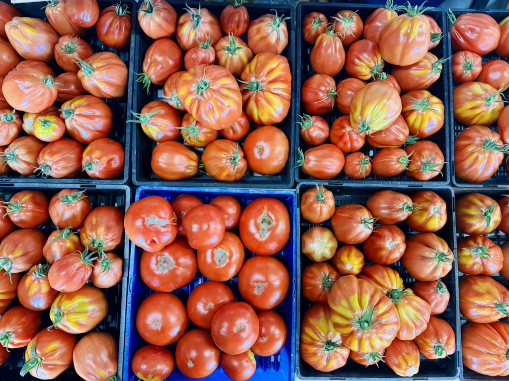 Overhead view of several crates filled with tomatoes in different shapes and sizes, ranging from deep red to orange with green stems. The crates are arranged in a grid, with one crate of smoother round tomatoes among more ribbed heirloom varieties.