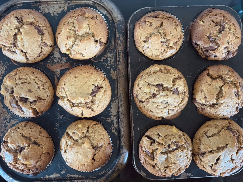 Overhead view of two muffin tins holding 12 golden-brown muffins with cracked tops and visible chocolate chunks. One tin is worn and scratched, and the muffins sit in paper liners.