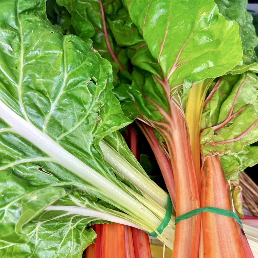 Close-up of bundled rainbow Swiss chard with large glossy green leaves and thick red, orange, and white stalks. The stems are tied with green bands.