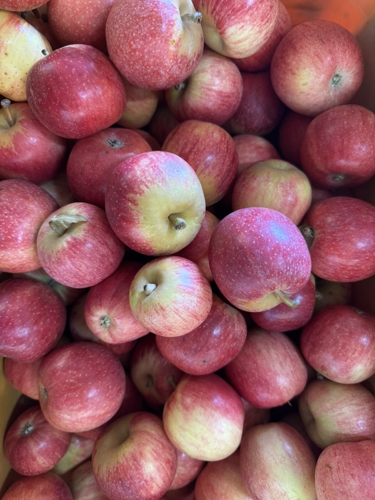 A crate filled with red-and-yellow apples packed together. Several apples show stems and speckled skins.