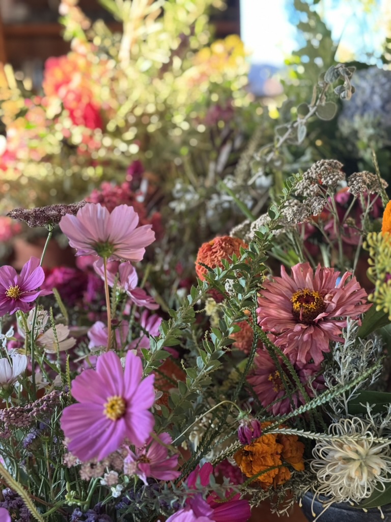 Close-up of a mixed bouquet of flowers in pinks, purples, and oranges with green foliage. The background is softly blurred with more flowers and bright sunlight.