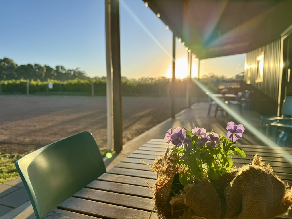 Sunlight streams across an outdoor café veranda with green chairs and a long wooden table. In the foreground, a small pot of purple flowers wrapped in burlap sits on the table, with fields visible beyond.