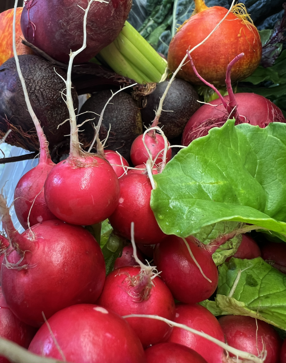 Close-up of a pile of fresh vegetables including red radishes with roots attached, leafy greens, dark beets, and celery stalks. The produce is tightly packed, filling the frame.