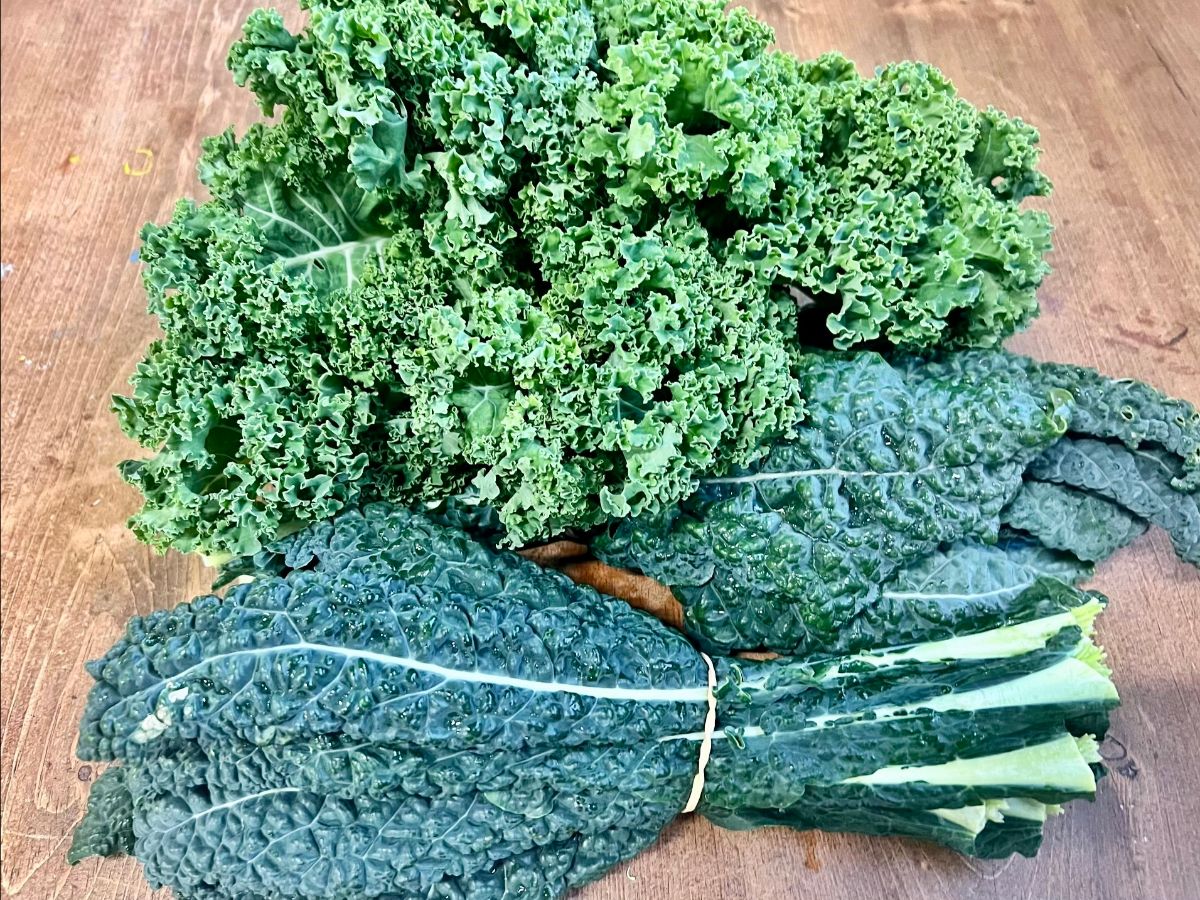 Two bunches of kale sit on a wooden table: curly green kale on top and dark, bumpy lacinato kale tied with a rubber band below.