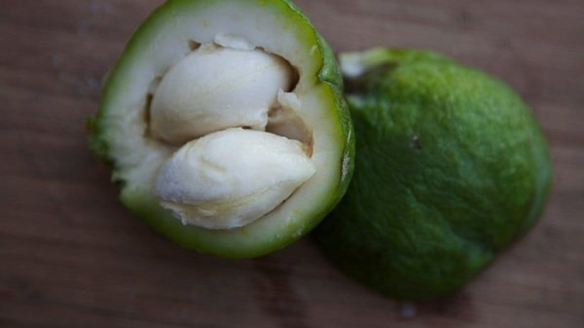Close-up of a green fruit cut in half, showing pale flesh and two large cream-colored seeds. A whole green fruit sits blurred in the background on a wooden surface.