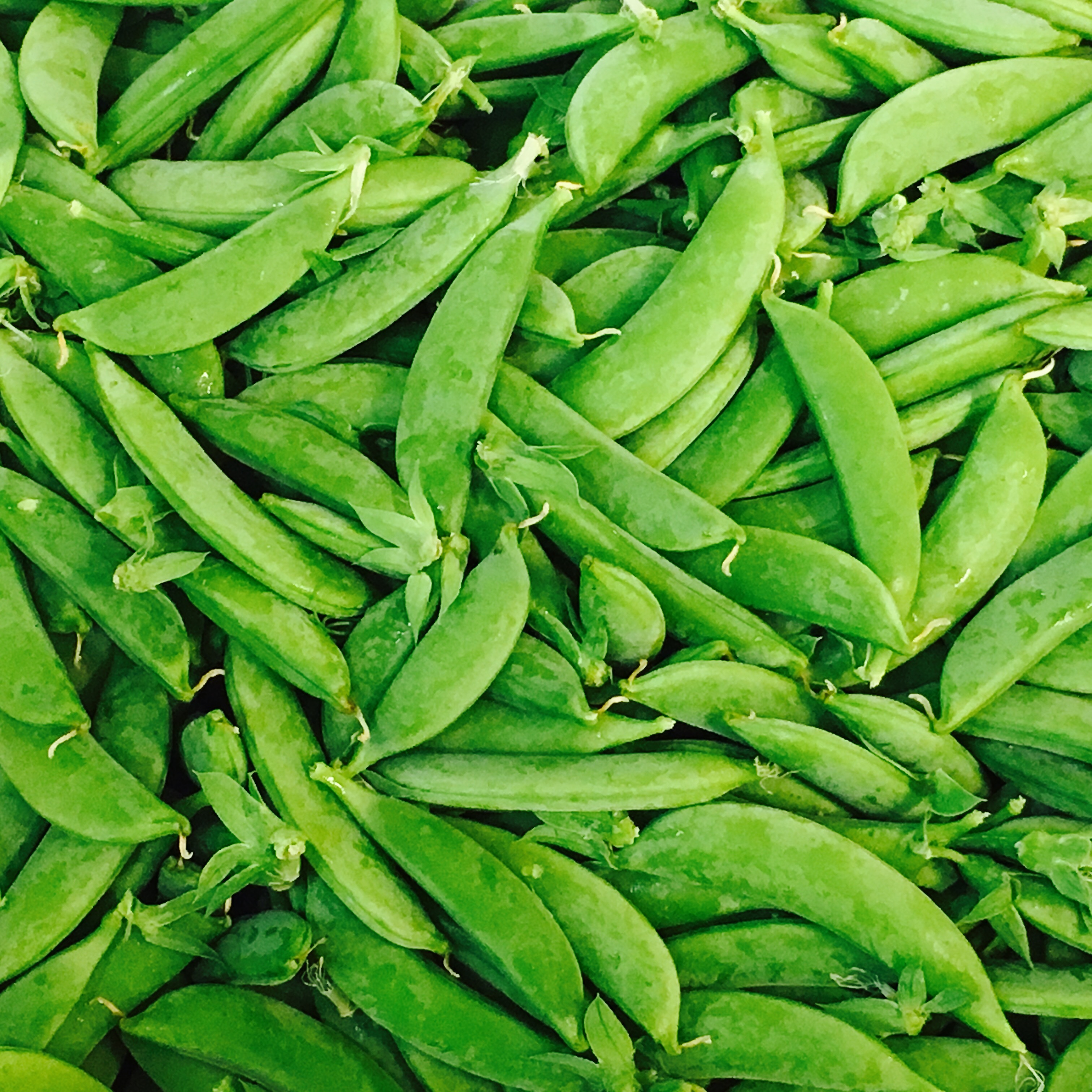 Close-up of a pile of fresh green pea pods filling the frame. The pods overlap each other, with stems and small leaf bits visible.