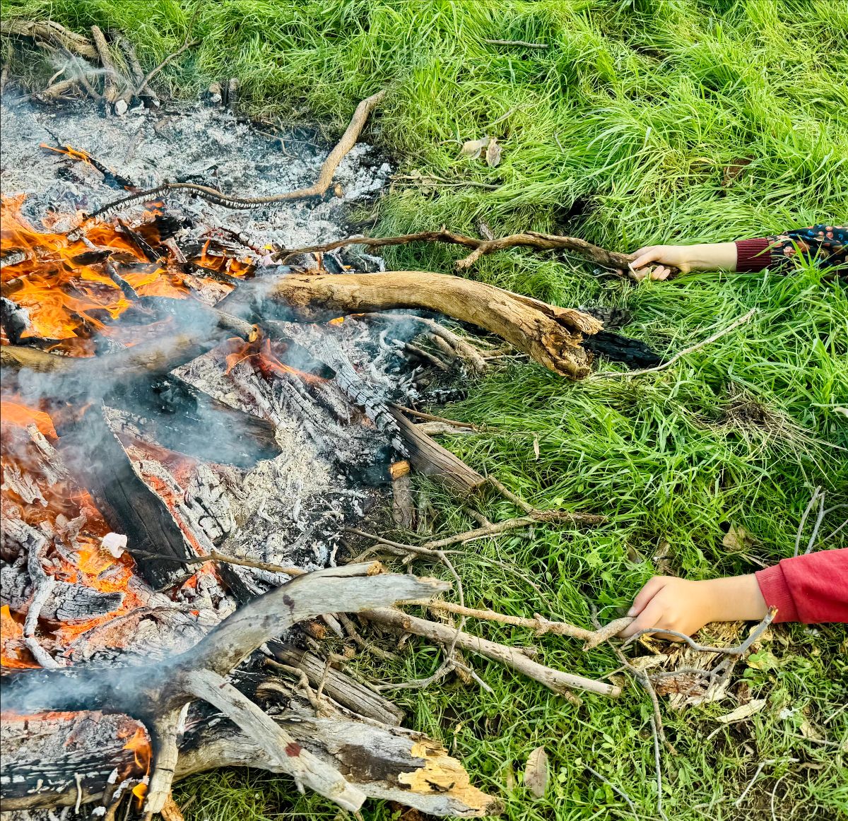 Two hands reach in from the right, using sticks to poke a small fire with burning logs and gray ash. Flames and smoke rise from the fire pit surrounded by bright green grass.