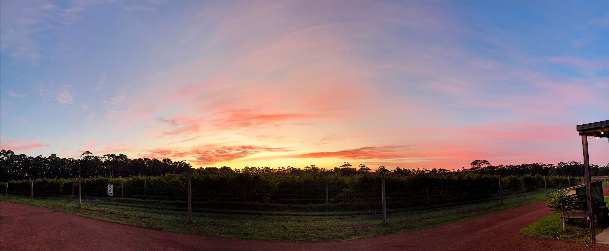 Panoramic view of a farm field bordered by a fence and trees under a colorful pink-and-orange sunset sky. A reddish dirt road runs along the foreground, with part of a porch or structure visible at the right edge.