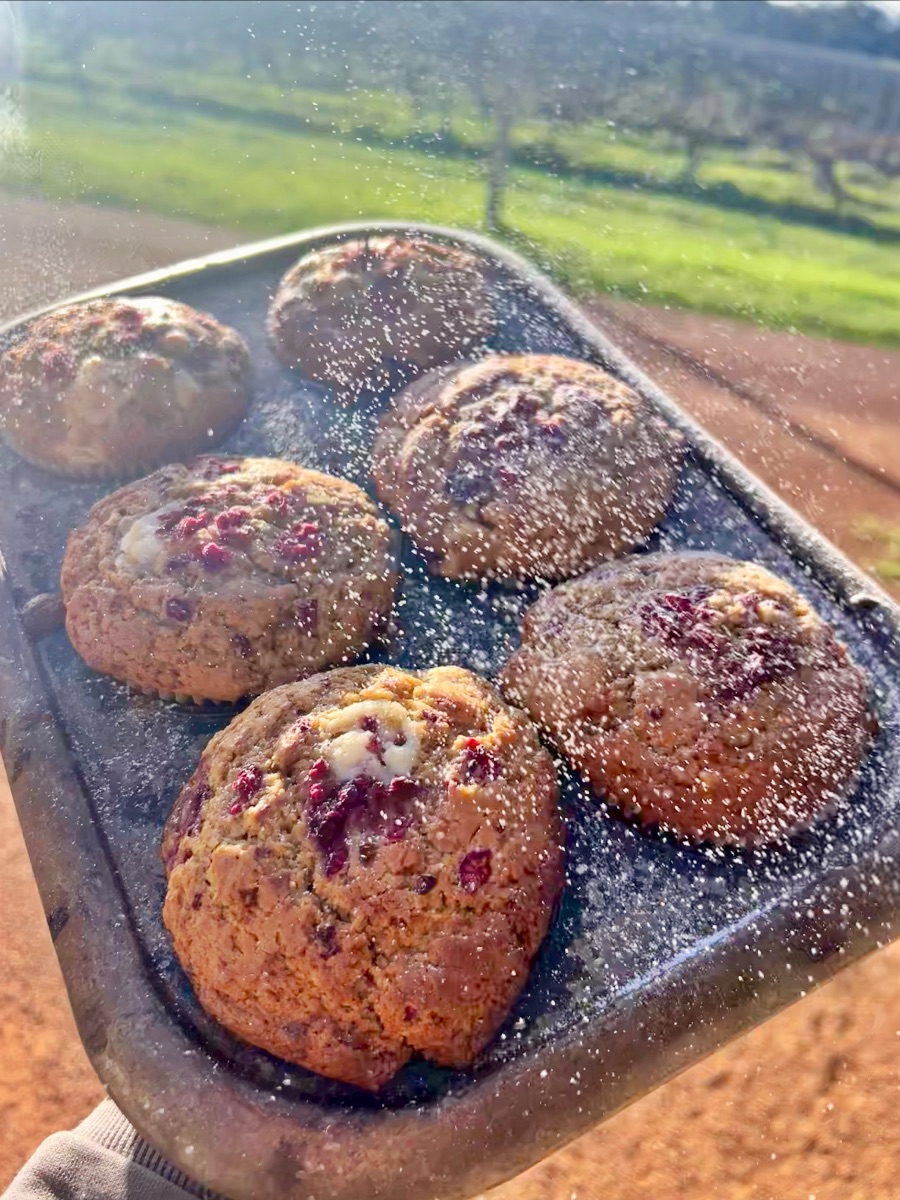 A baking tray holding six round berry muffins is shown being dusted with powdered sugar. The tray is held outdoors with a blurred green field and trees in the background.
