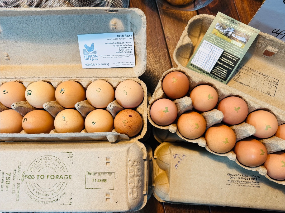 Two open cardboard egg cartons sit on a wooden table, filled with brown eggs stamped with small green markings. Labels and farm information cards are visible inside the carton lids.