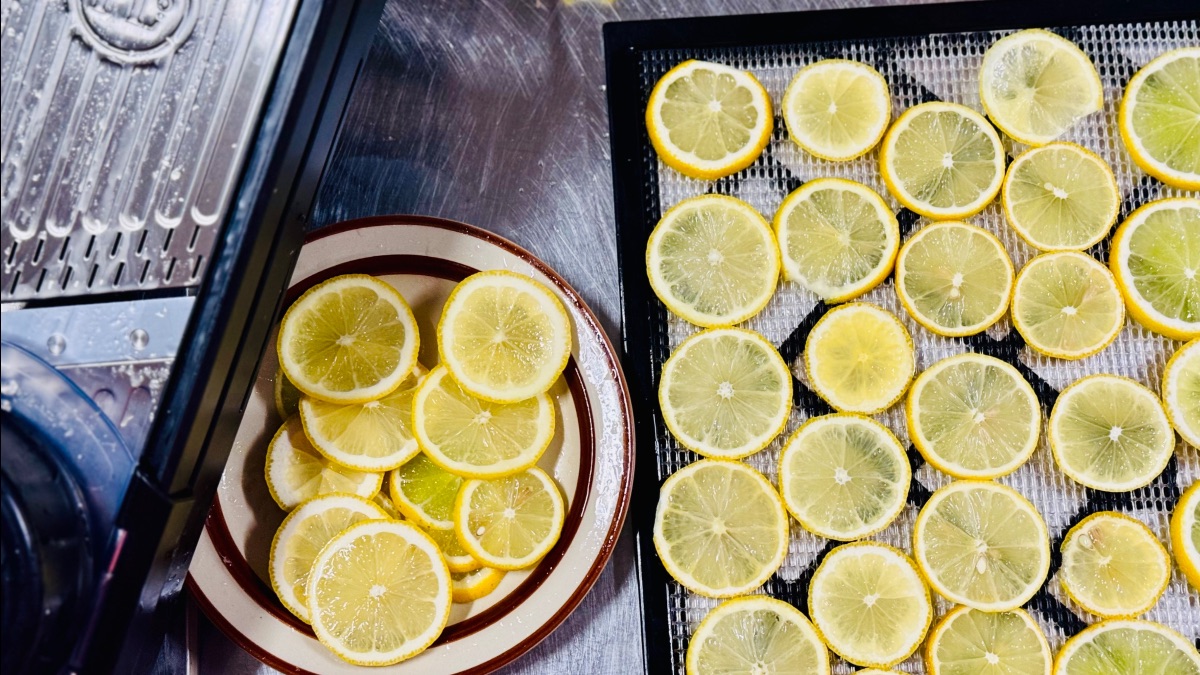 Thin slices of citrus (lemons and limes) are spread across a black drying tray, with extra slices piled in a bowl beside it on a stainless-steel counter. A sink and dish rack are partially visible on the left.