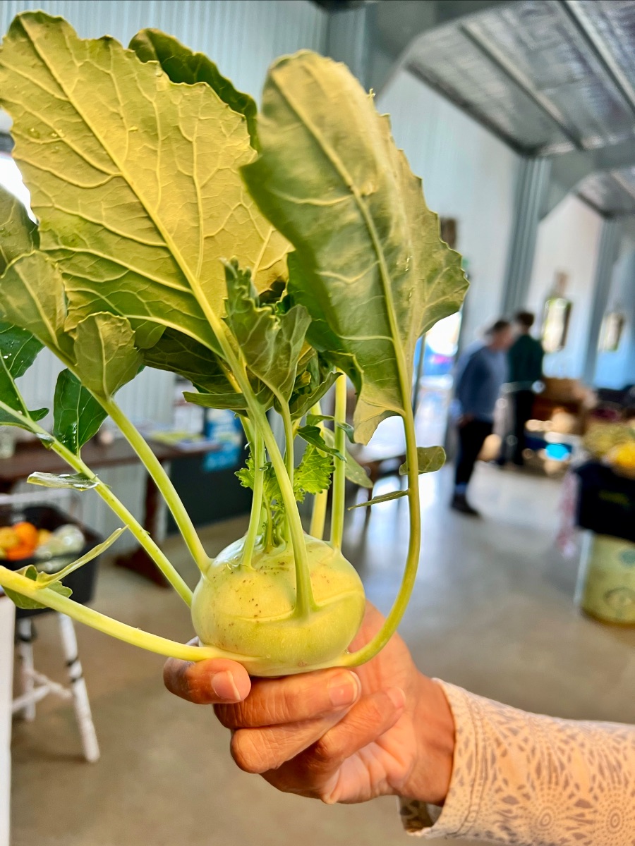 A hand holds a freshly picked kohlrabi with long pale-green stems and large leafy greens attached. In the blurred background is an indoor farm shop with produce displays and a few people walking.