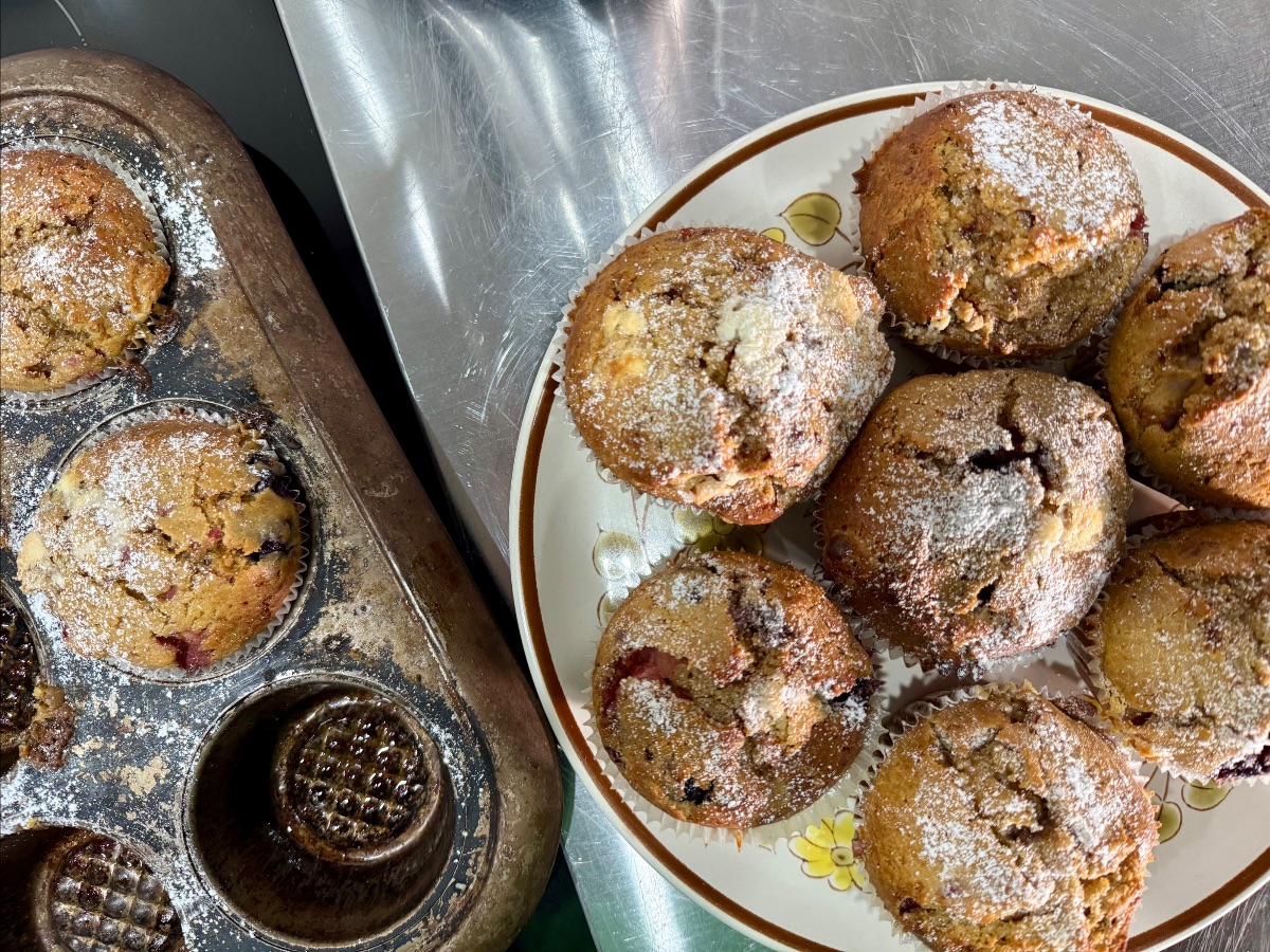 A close-up shows several sugar-dusted muffins on a floral plate beside a muffin tin with a few remaining muffins. The plate and tin sit on a scratched stainless-steel countertop.