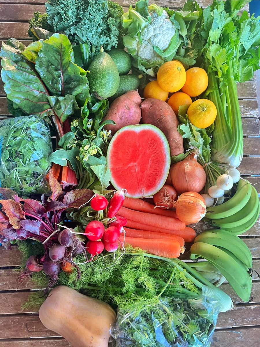Overhead view of a wooden table covered with fresh produce, including a halved watermelon, carrots, bananas, oranges, onions, sweet potatoes, cauliflower, kale, celery, radishes, beets, and assorted leafy greens and herbs. Some greens are in plastic bags, and a butternut squash sits near the bottom.