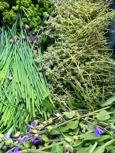 Cover image for Kids' Art Sessions and Fresh Garden Picks