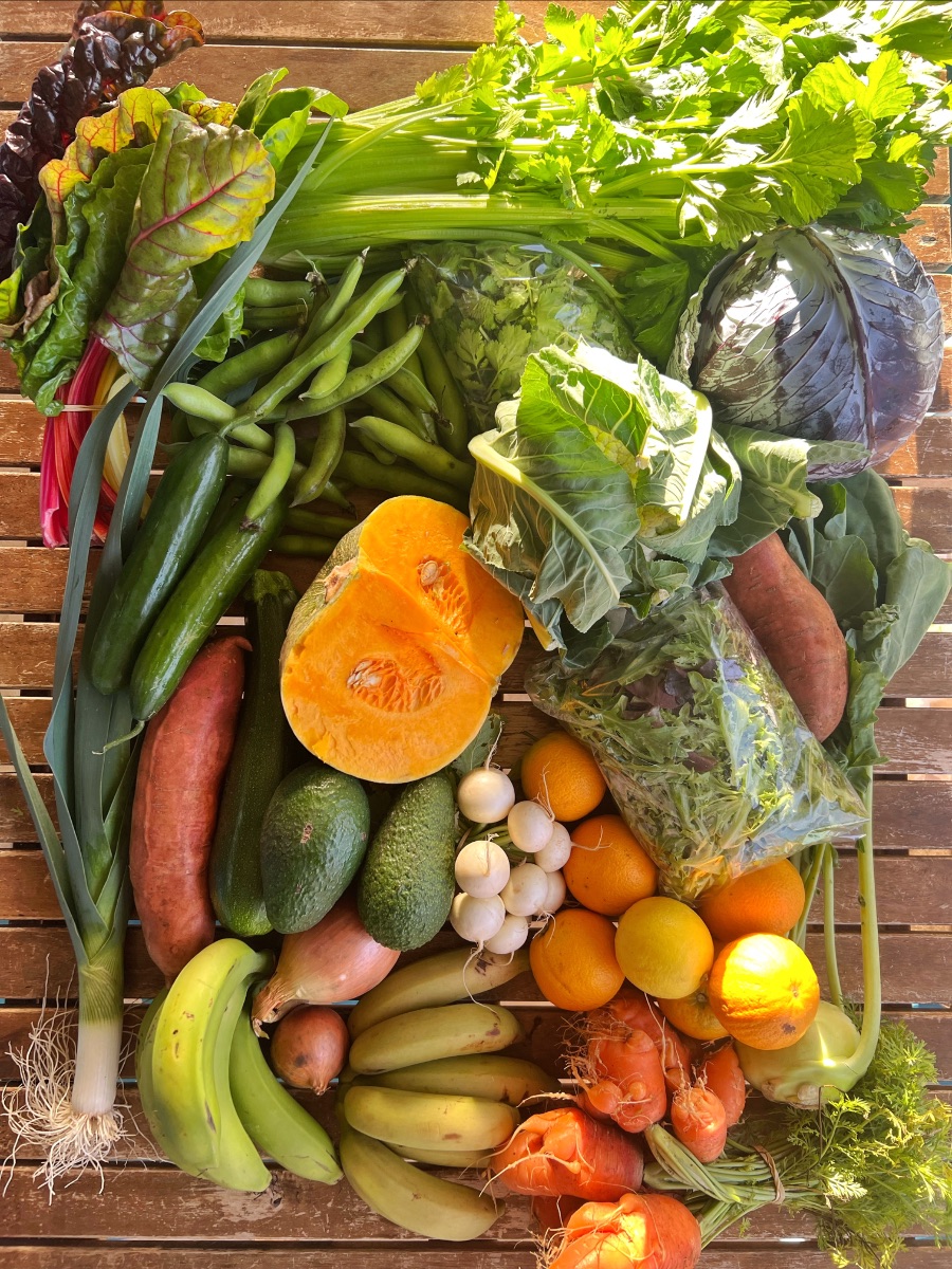 Assorted fresh produce spread on a wooden table, including leafy greens, celery, leeks, zucchini, avocados, carrots, onions, radishes, sweet potatoes, a halved pumpkin, and a purple cabbage. Bunches of bananas and several citrus fruits are clustered along the bottom, with some greens in a clear plastic bag.