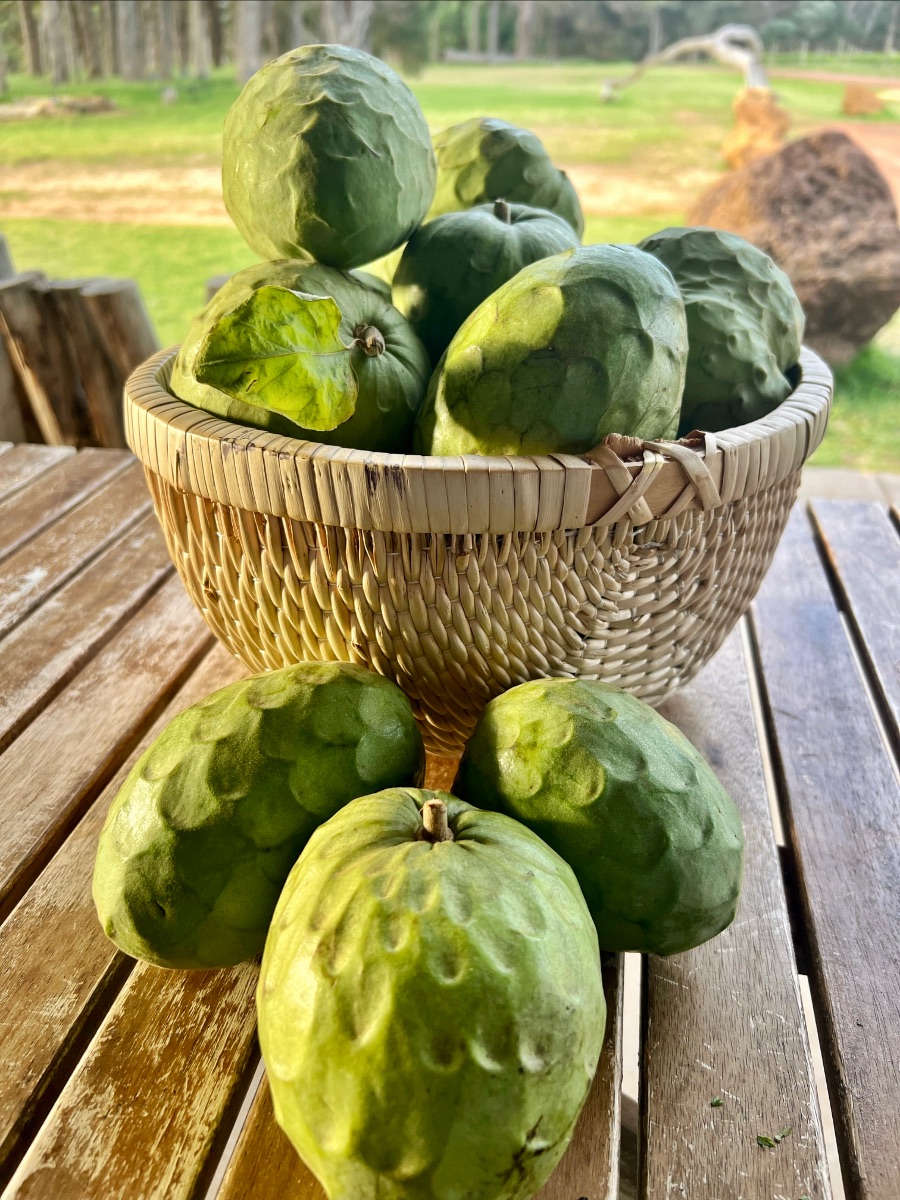 Woven basket filled with green, knobbly custard apples on a wooden table, with three more custard apples in front. A grassy outdoor area is blurred in the background.