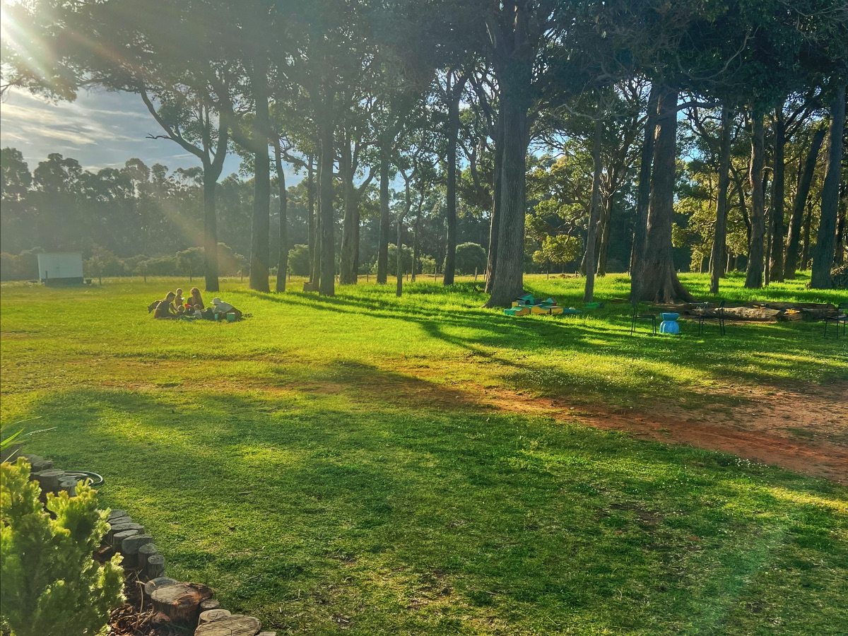 Wide view of a sunlit grassy field with tall trees casting long shadows. In the distance, a small group sits on the grass, with picnic tables and a small shed visible nearby.