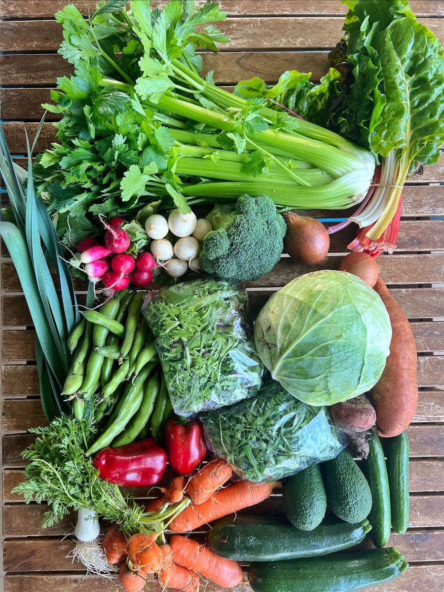 Assorted fresh vegetables arranged on a wooden slatted surface, including celery, Swiss chard, radishes, turnips, broccoli, onions, cabbage, carrots, leeks, peppers, leafy greens, beans, sweet potatoes, avocados, cucumbers, and zucchinis. Two bagged bunches of greens sit near the center.