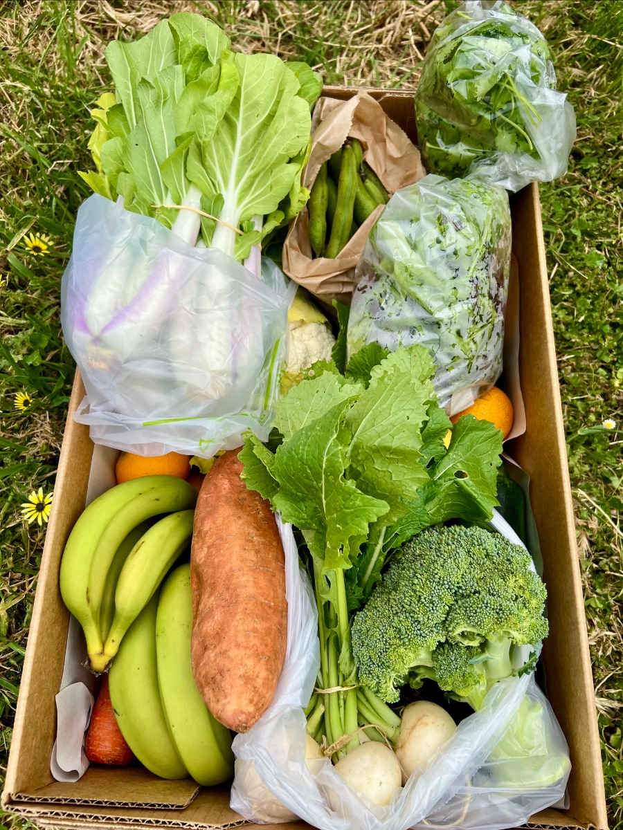 Cardboard produce box on grass filled with fresh vegetables and fruit, including leafy greens, broccoli, cauliflower, green beans, a sweet potato, radishes, bananas, and oranges. Several items are bundled or wrapped in clear plastic and paper bags.