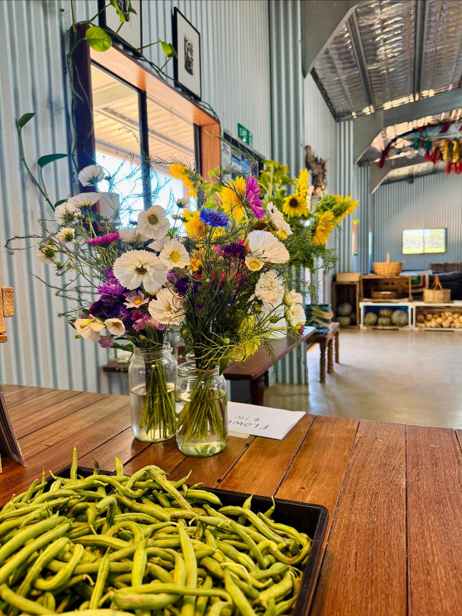 Tray of fresh green beans on a wooden table beside two glass jars holding colorful flower bouquets. In the background is a corrugated-metal farm shop interior with a window, bench seating, and produce crates.