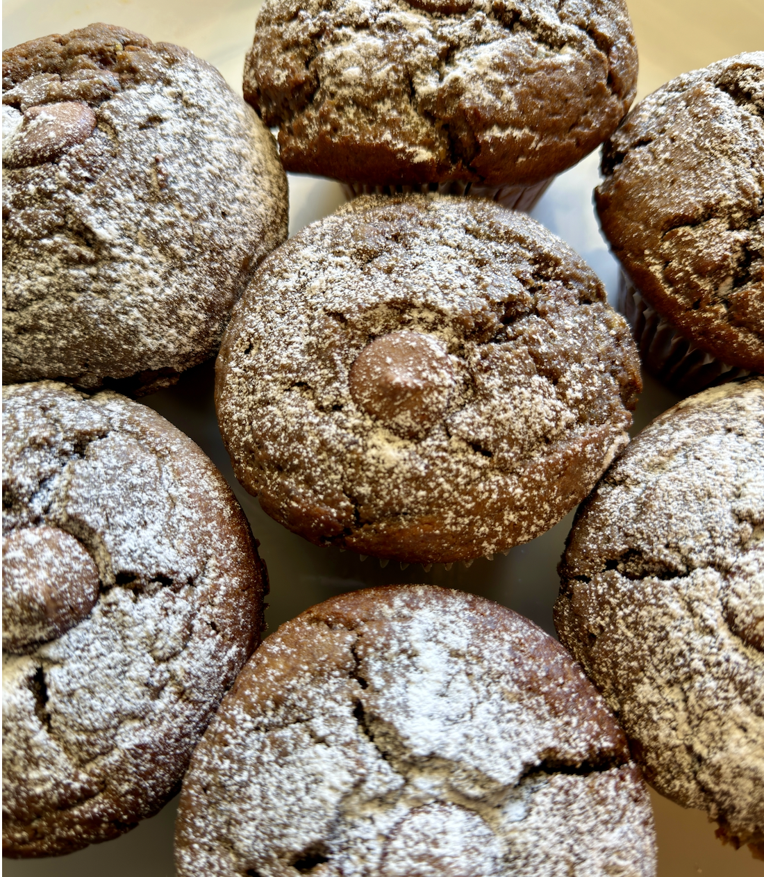 Close-up of several chocolate muffins dusted with powdered sugar on a plate. One muffin in the center has a single chocolate chip on top.